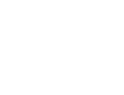 Progress Diagram
