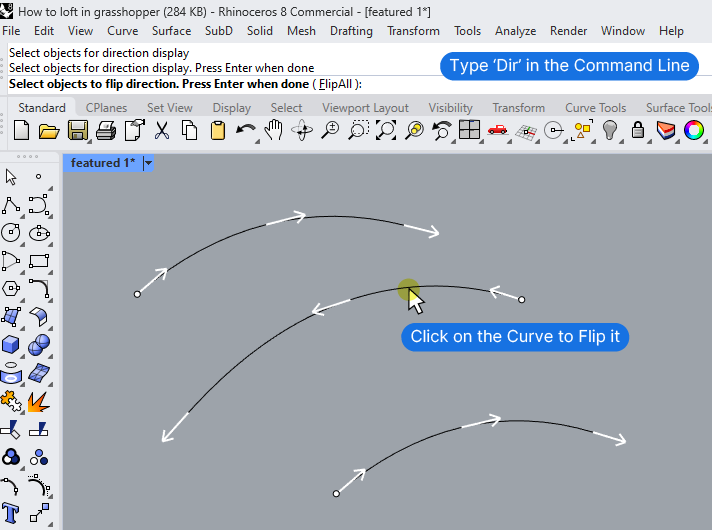 Manually Adjusting Curve direction in Rhino