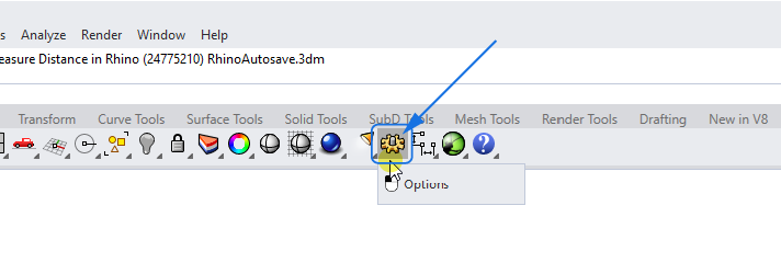 Opening the Rhino Options